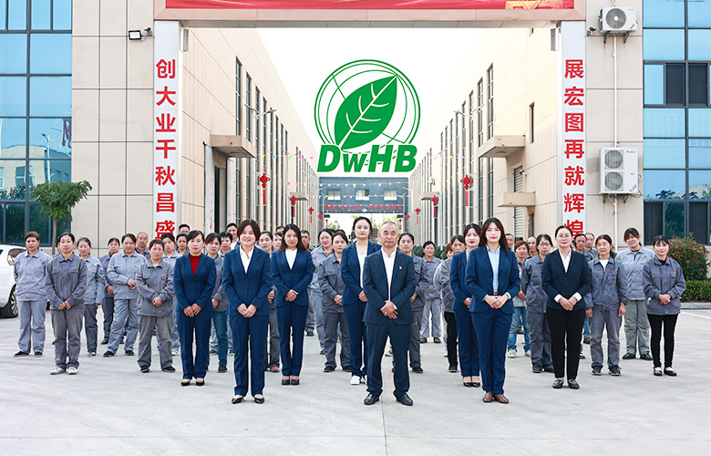 JIANGSU DONGWANG Teknologi Perlindungan Lingkungan Group Co., Ltd.