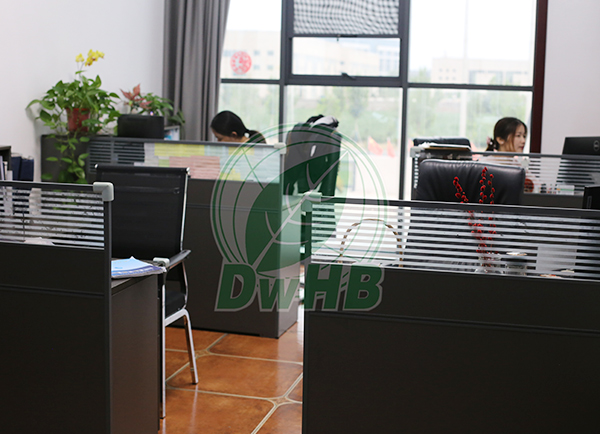 JIANGSU DONGWANG Teknologi Perlindungan Lingkungan Group Co., Ltd.
